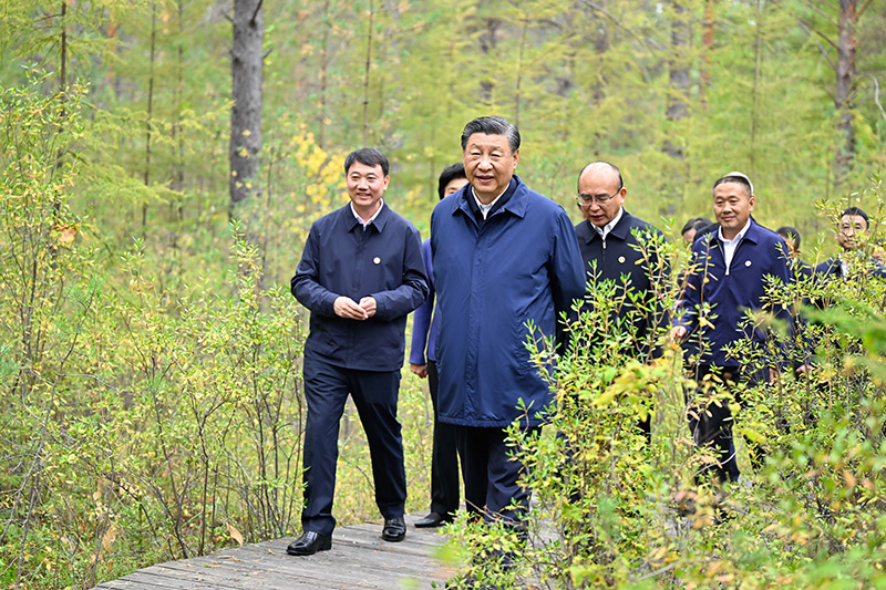 9月6日至8日，中共中央總書(shū)記、國(guó)家主席、中央軍委主席習(xí)近平在黑龍江考察。這是6日下午，習(xí)近平在大興安嶺地區(qū)漠河市漠河林場(chǎng)自然林區(qū)考察